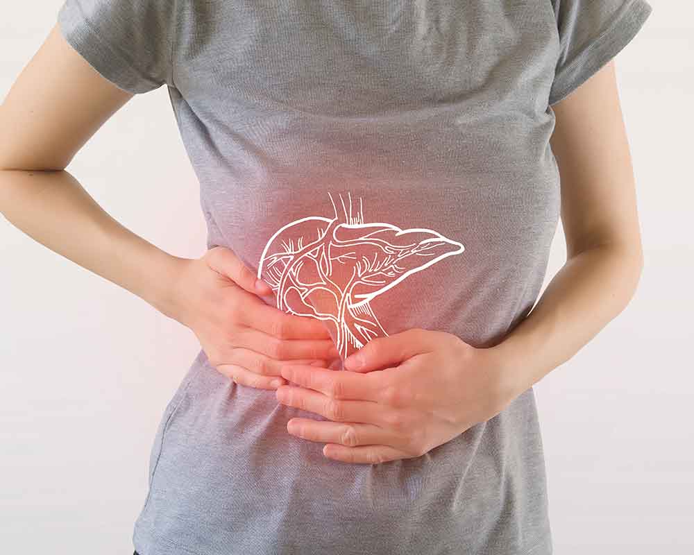 woman holding lower abdomen showing 3d graphic of fatty liver