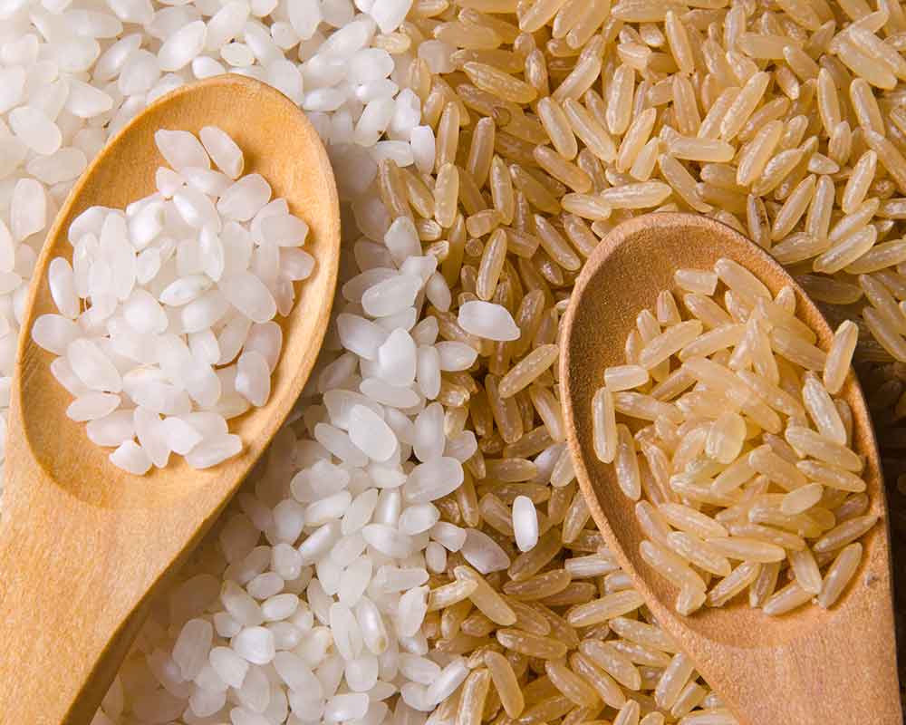 brown rice and white rice