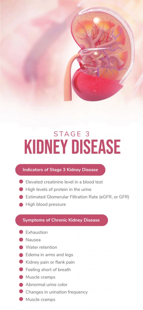 Can Stage 3 Kidney Disease Be Reversed? | Fatty Liver Disease