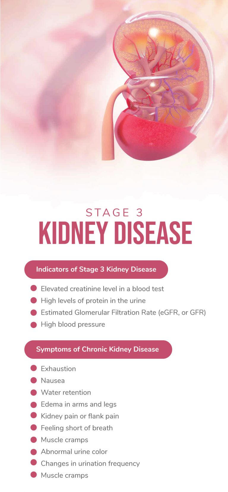 liver-cirrhosis-stages