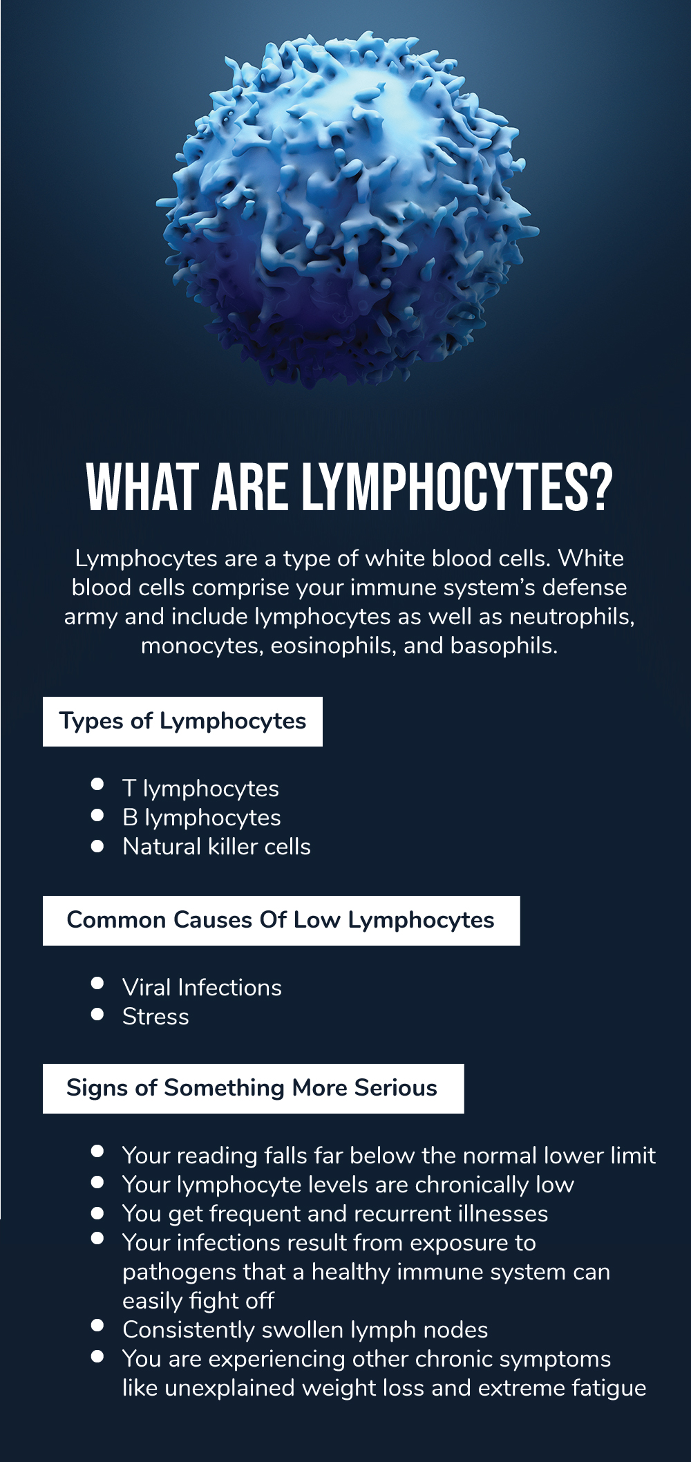 Types, Causes, And Symptoms  of Lymphocytes