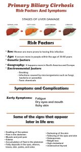 Primary Biliary Cirrhosis: Stages And Symptoms - Fatty Liver Disease