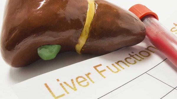 uman liver with yellow ribbon on a paper