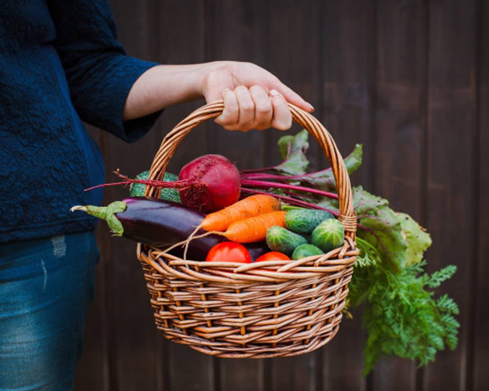 woman holding a basket filled with fresh vegetables