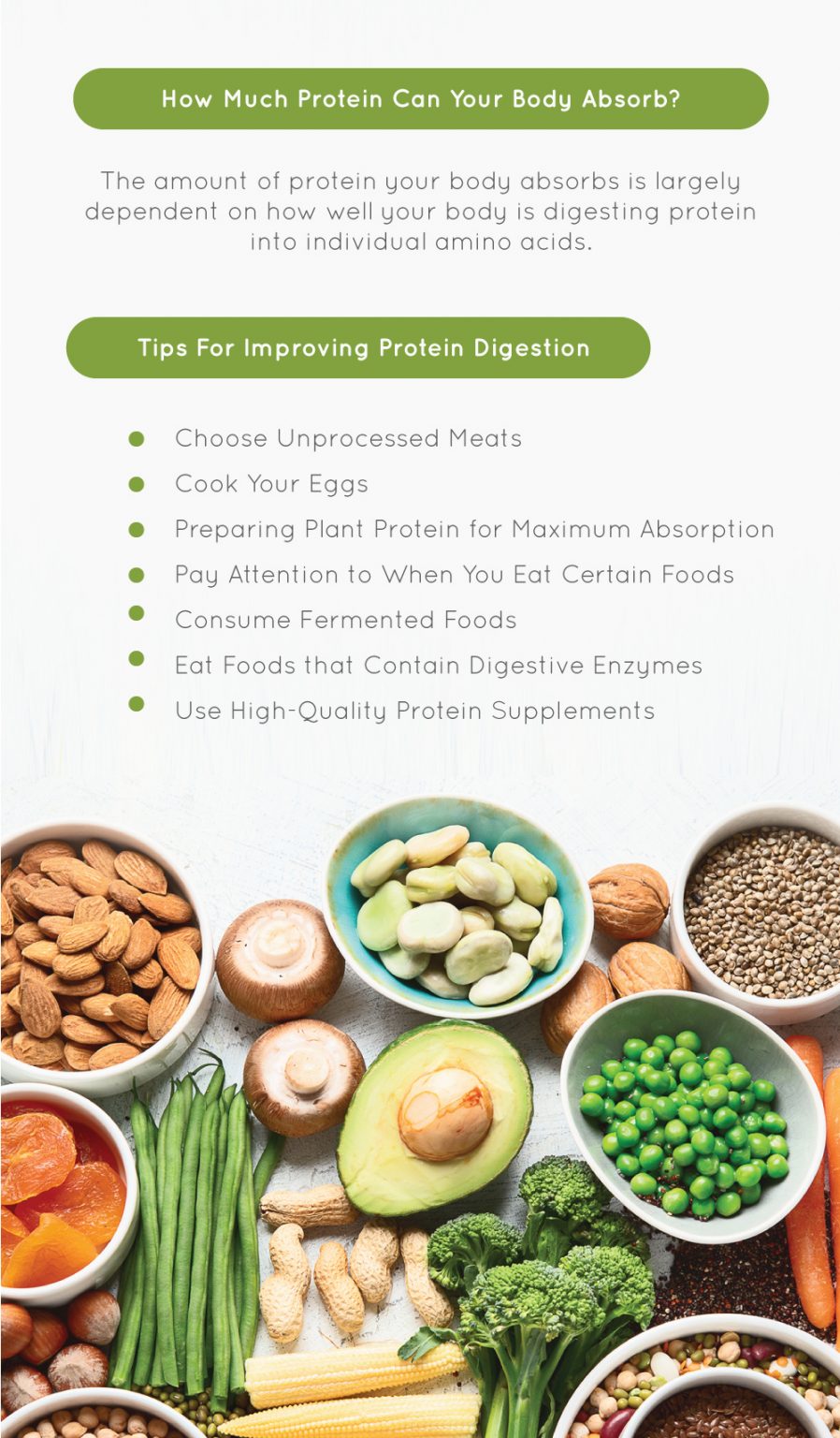 easily digestible protein foods