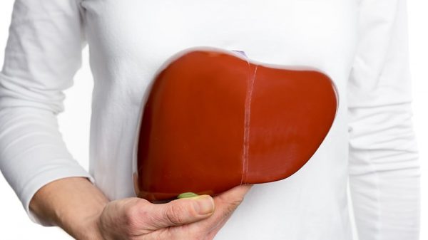woman holding a plush liver