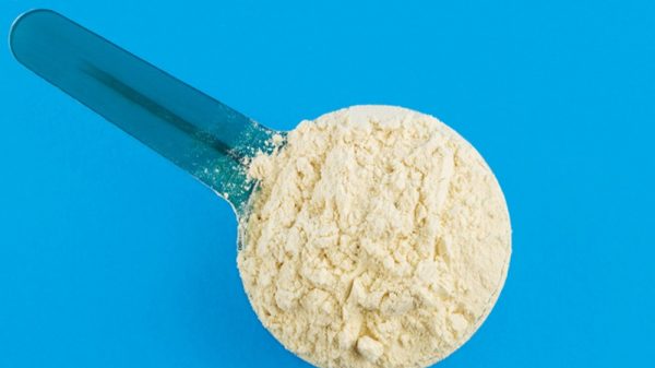 a scoop of amino acid powder blue background