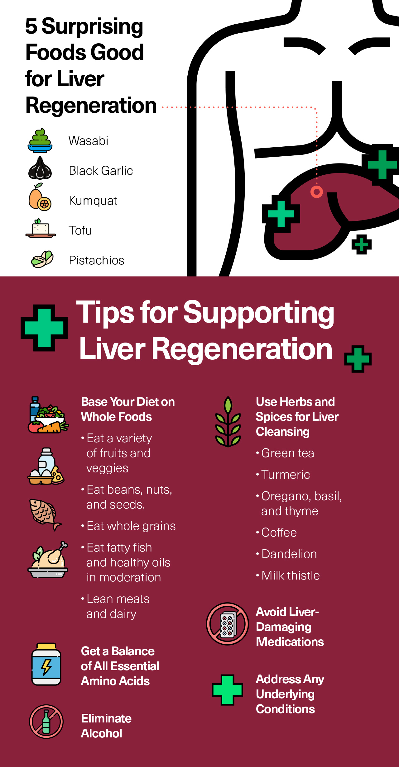 5 Surprising Foods Good for Liver Regeneration