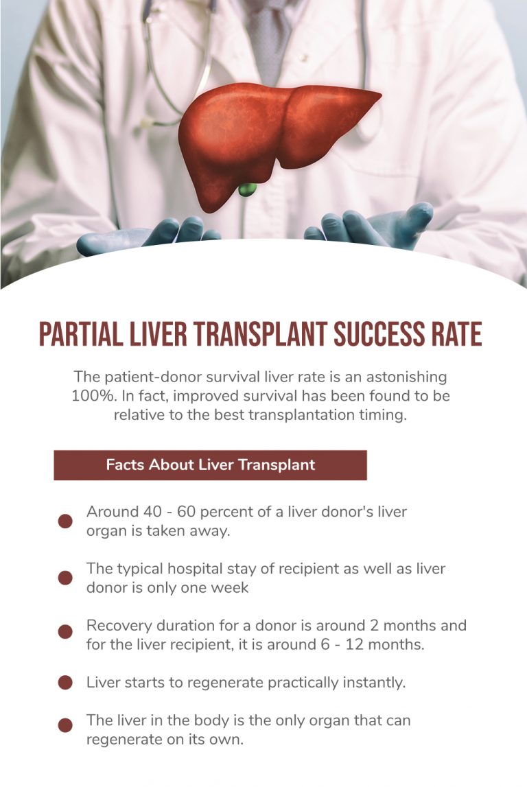 Partial Liver Transplant Success Rate - Fatty Liver Disease