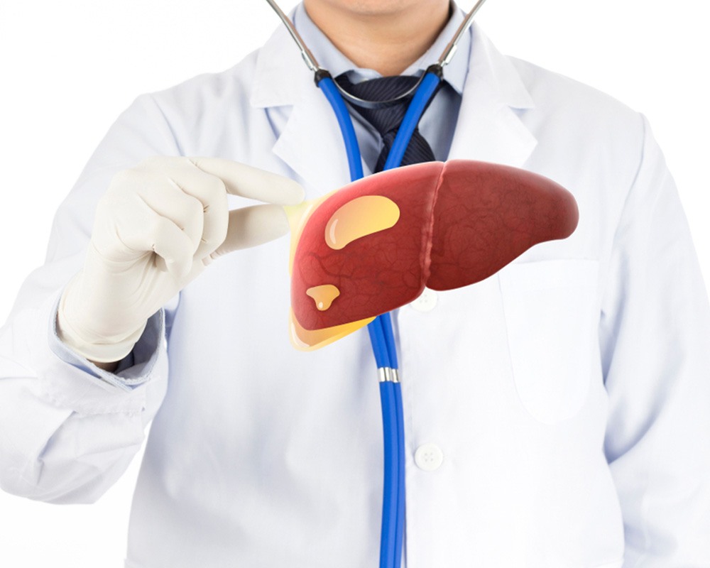 Doctor Showing lipids On The Human Liver