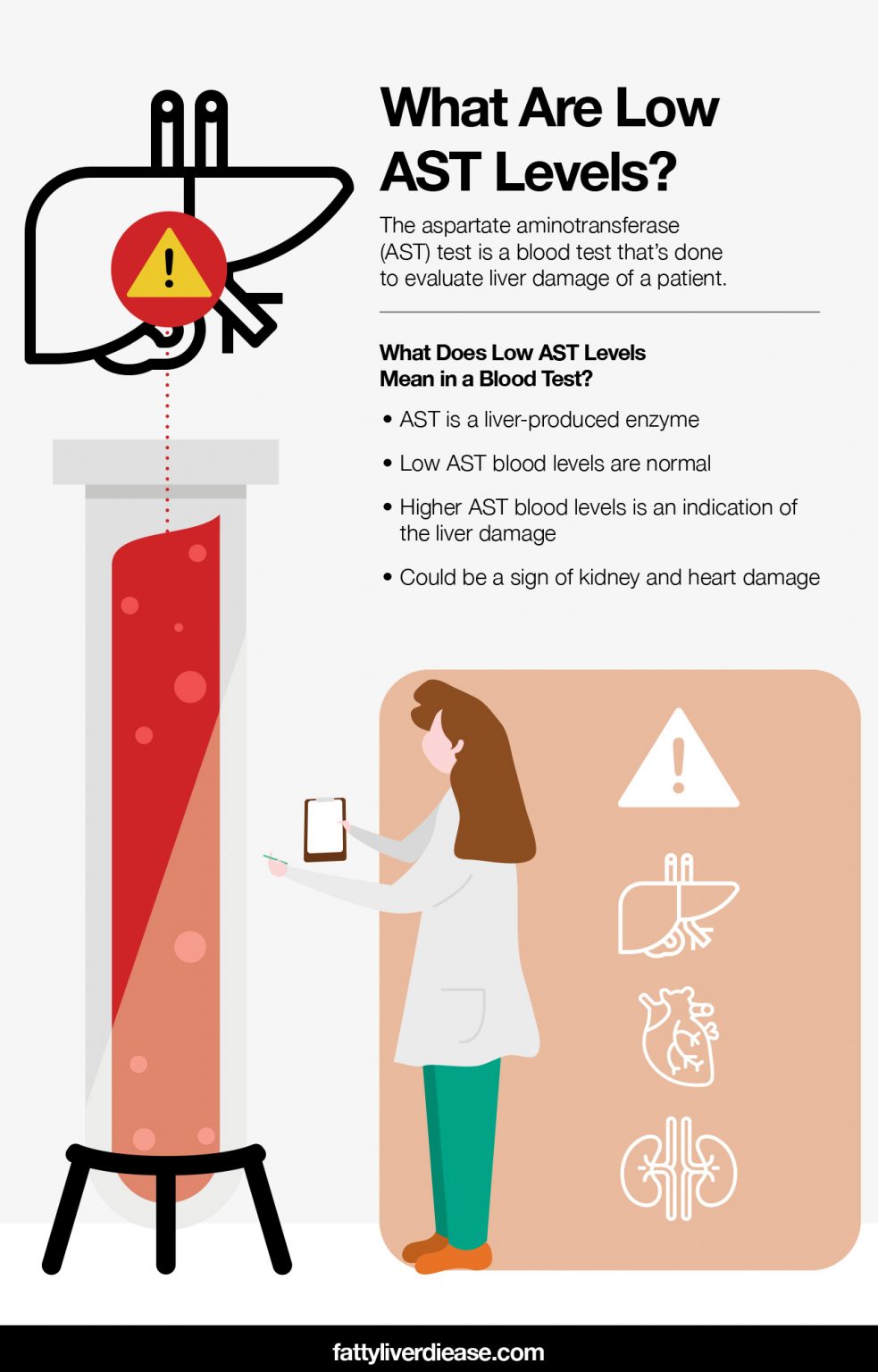 What Does Low AST Levels Mean In A Blood Test Fatty Liver Disease