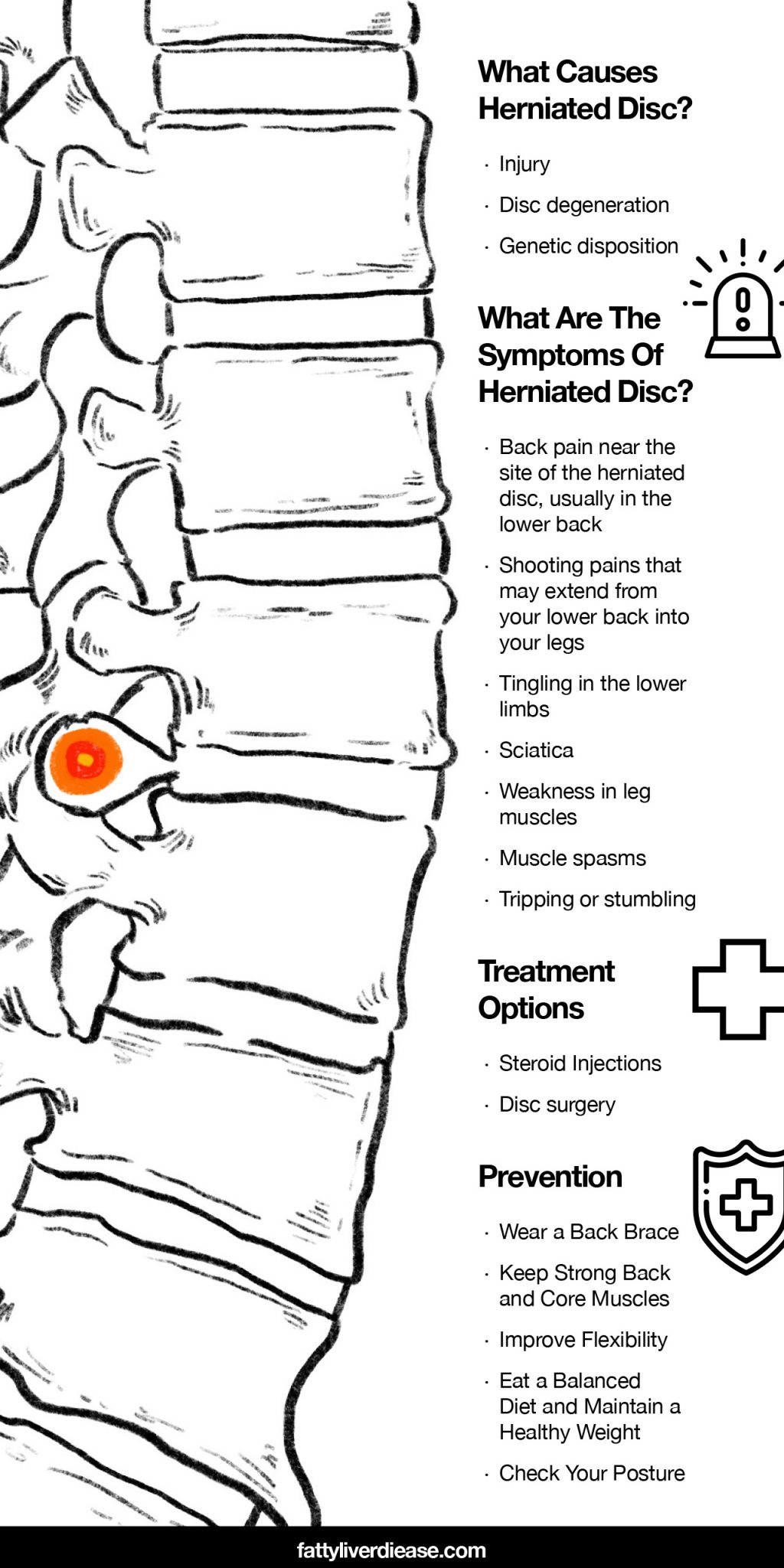 Herniated Disc Recovery Time Fatty Liver Disease