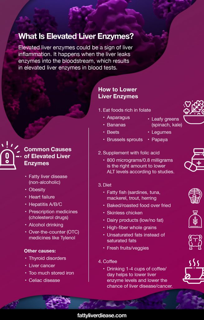 what-to-do-when-you-have-elevated-liver-enzymes-fatty-liver-disease