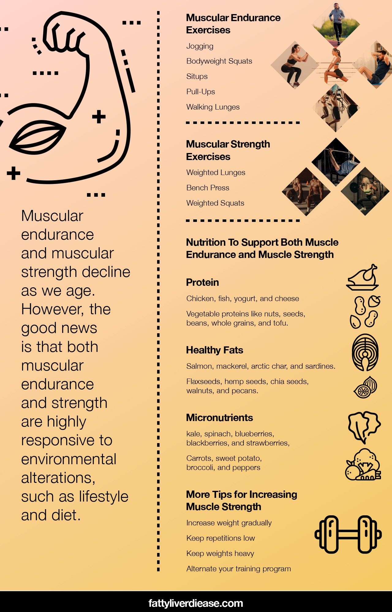 muscular strength vs muscular endurance exercises
