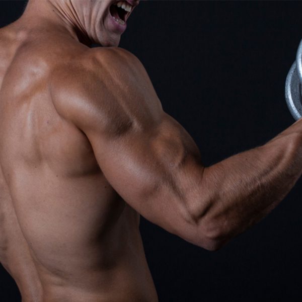 How Long Does It Take to Build Muscle?