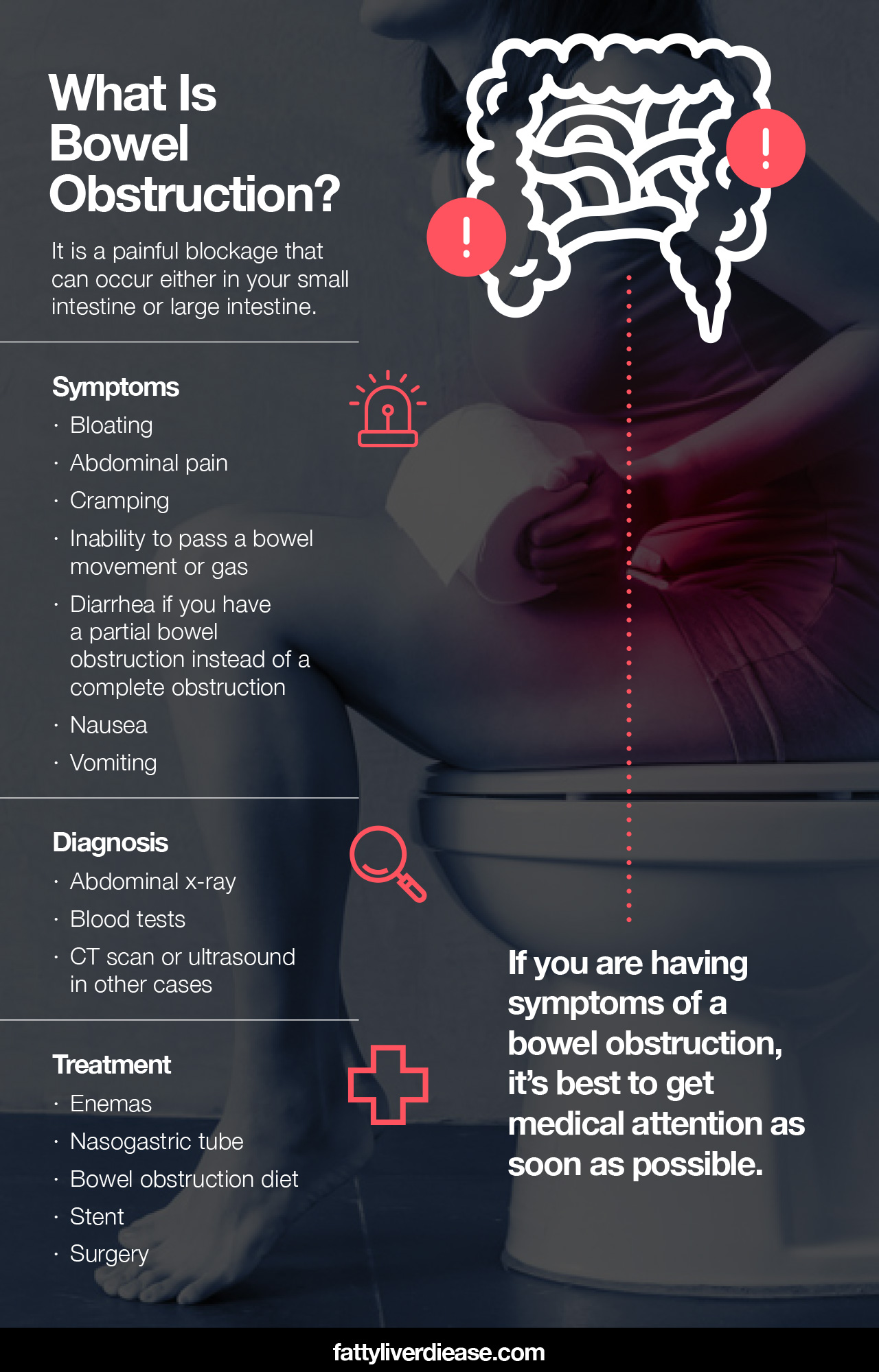 What is Bowel Obstruction