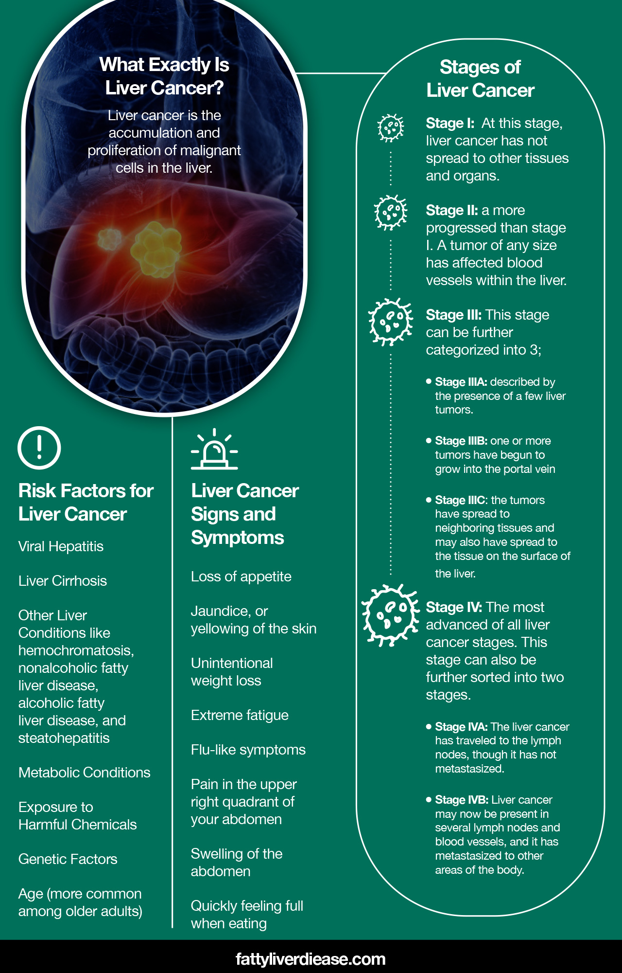 Stages Of Liver Cancer