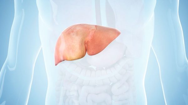 Reverse fatty liver damage